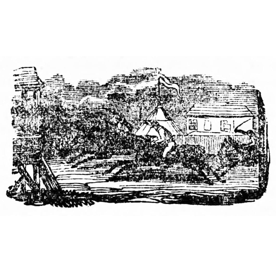History of the 'Newport Races' at the Marshes